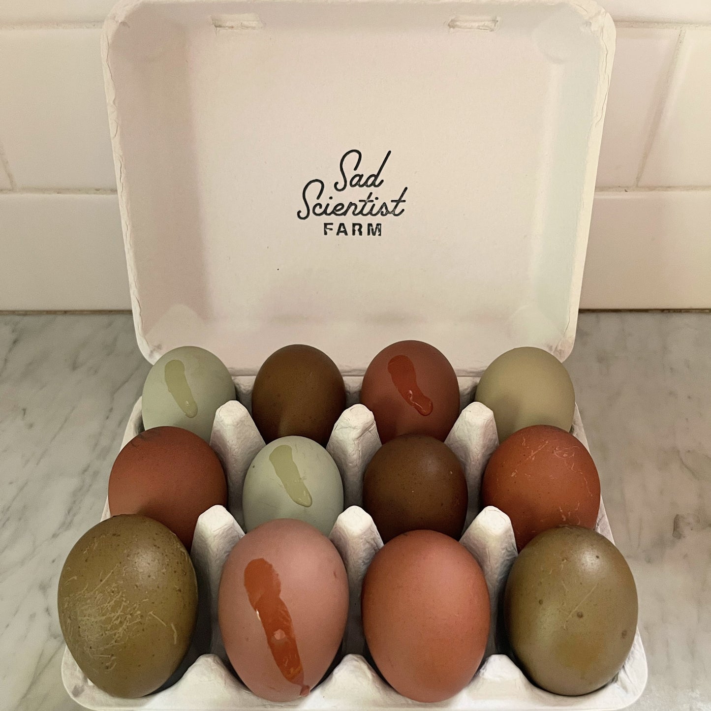 Rainbow Mix Hatching Eggs | One Dozen